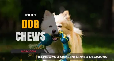 Safe and Satisfying: Top Dog Chews for Healthy Teeth and Happy Pups