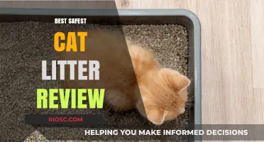 Top Safest Cat Litter Options: A Comprehensive Review for Pet Owners