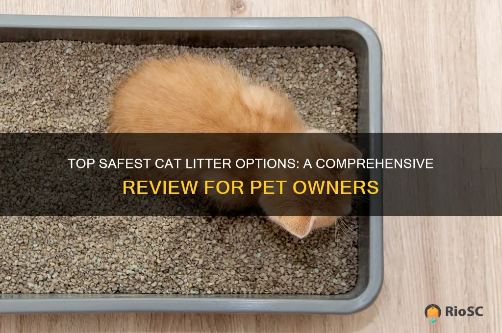 best safest cat litter review