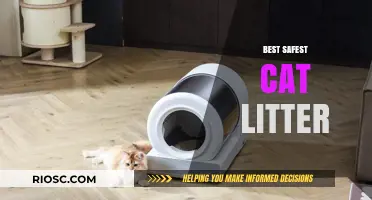 Top Safest Cat Litter Options for a Healthy and Happy Feline Home