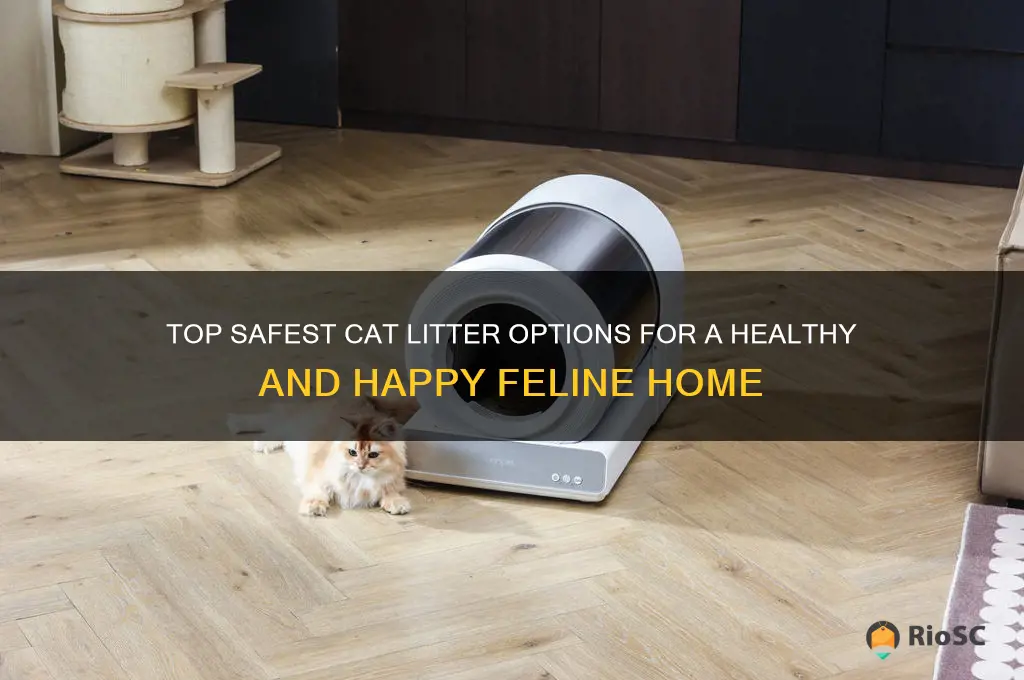 best safest cat litter