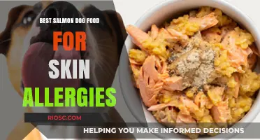 Soothing Solutions: Top Salmon-Based Dog Foods to Alleviate Skin Allergies