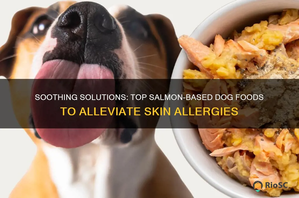 best salmon dog food for skin allergies