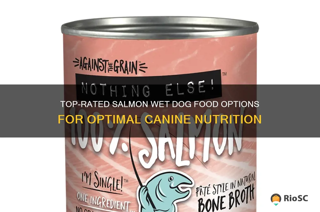 best salmon wet dog food