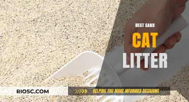 Top Picks for the Best Sand Cat Litter: Eco-Friendly, Dust-Free, and Paw-Approved Options