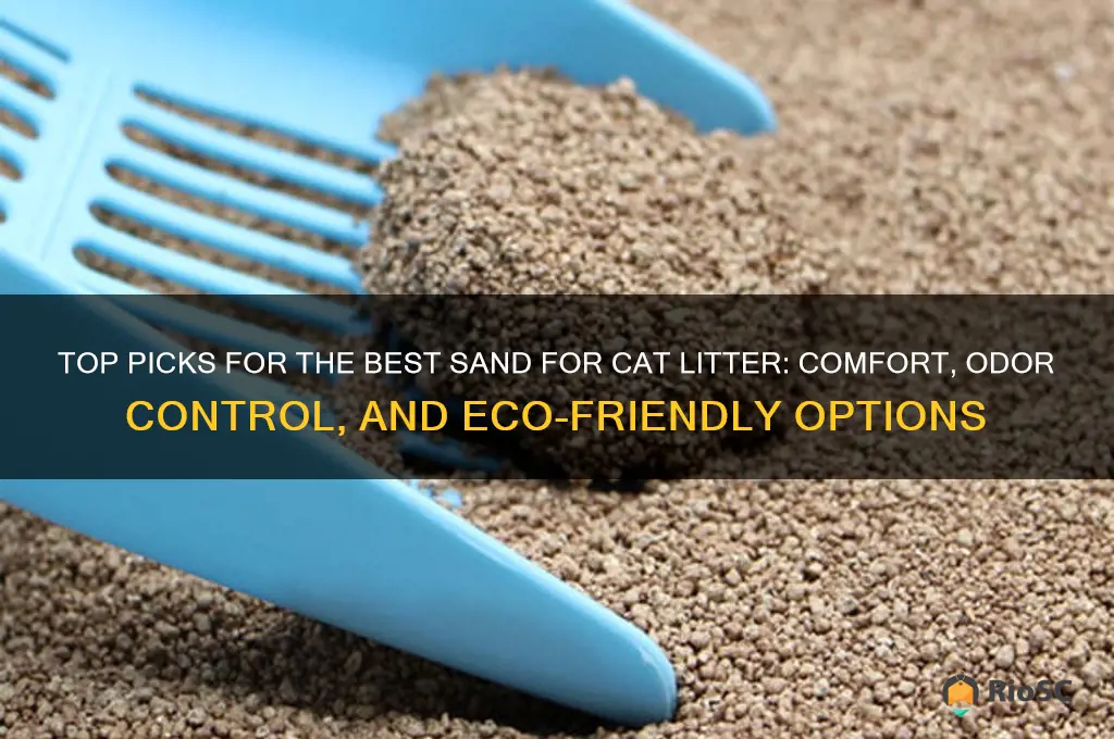best sand for cat litter