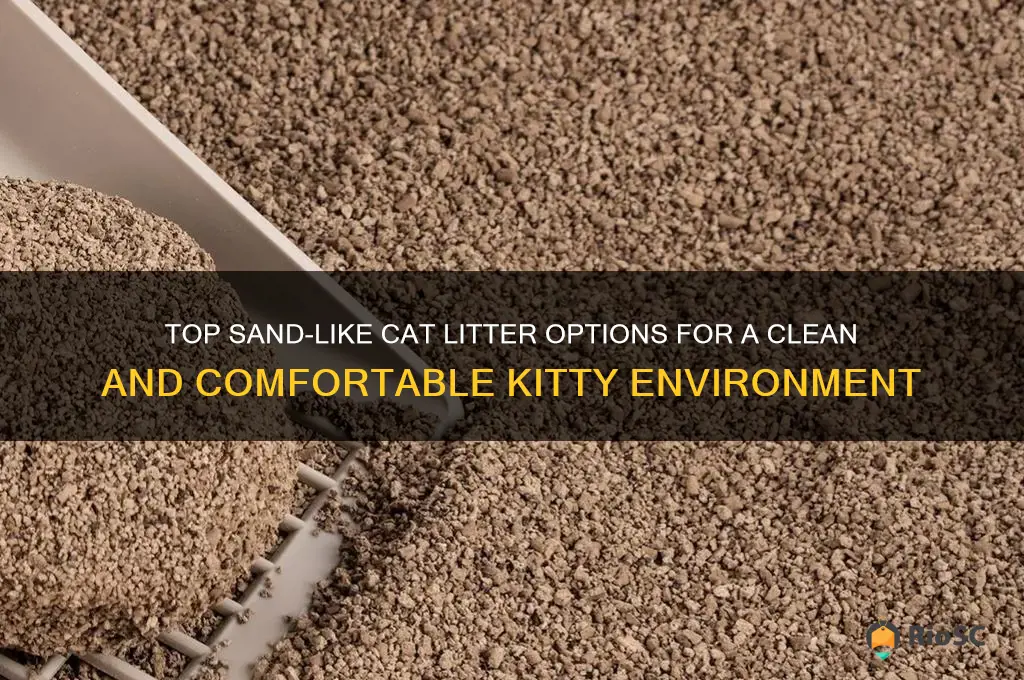 best sand like cat litter