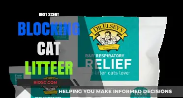 Top Scent-Blocking Cat Litter Options for a Fresh and Odor-Free Home