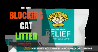 Top Scent-Blocking Cat Litter Options for a Fresh and Odor-Free Home