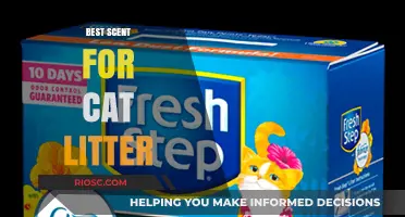 Purr-fectly Fresh: Discover the Best Scent for Your Cat Litter