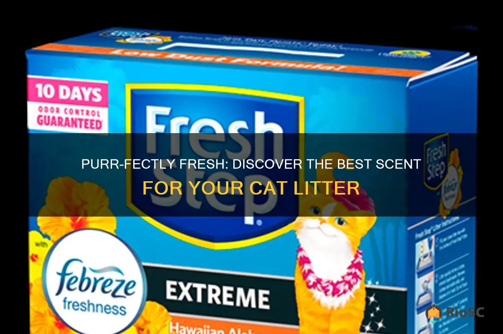 best scent for cat litter