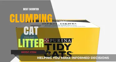 Purr-fectly Fragrant: Top Scented Clumping Cat Litters for a Fresh and Clean Home