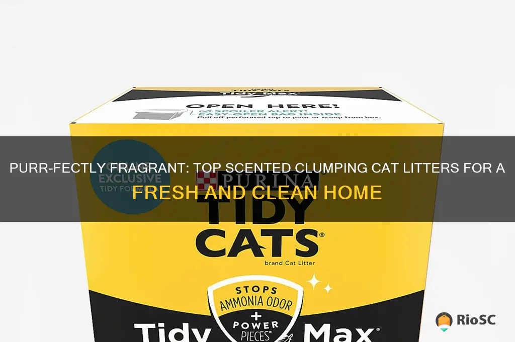 best scented clumping cat litter