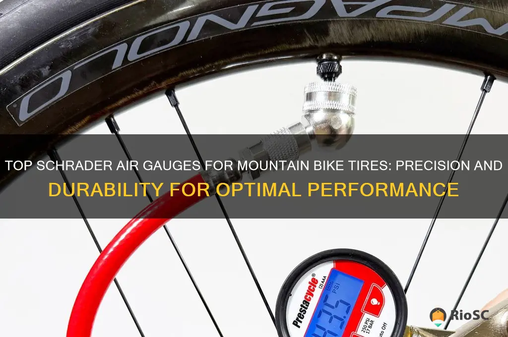 best schrader air gauges for mountain bike tires