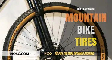 Top Schwalbe Mountain Bike Tires for Ultimate Performance and Durability