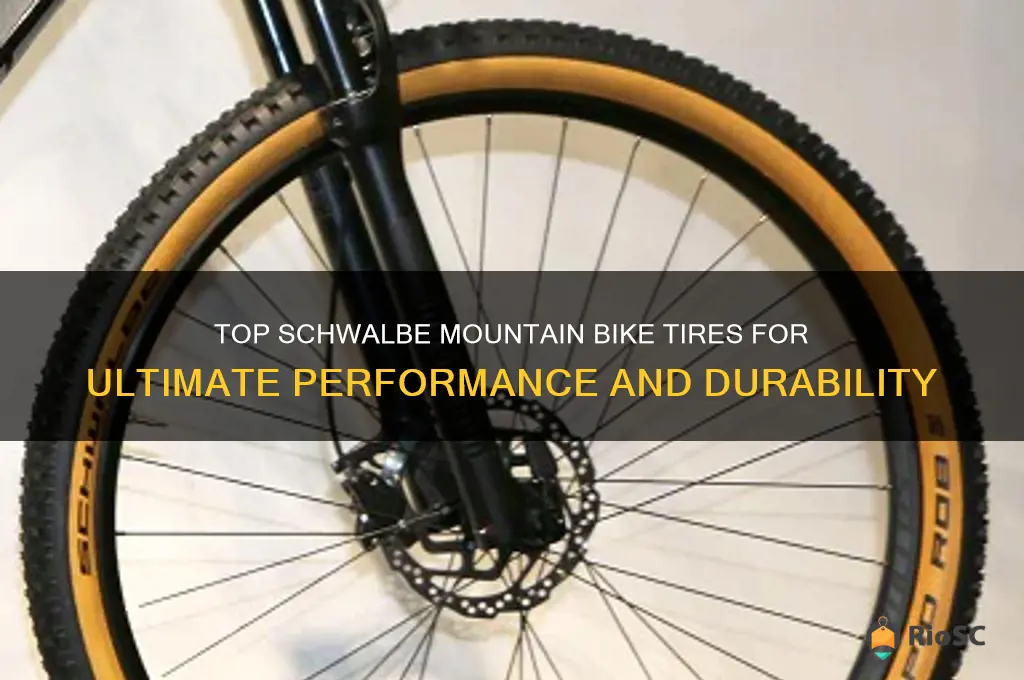 best schwalbe mountain bike tires