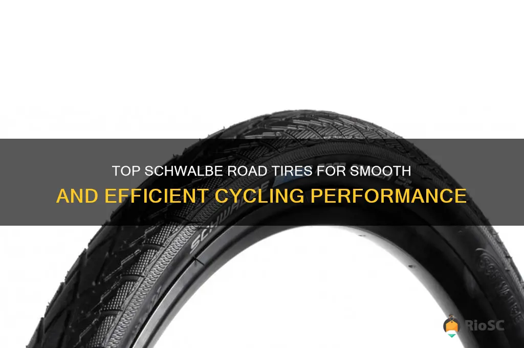 best schwalbe road tires