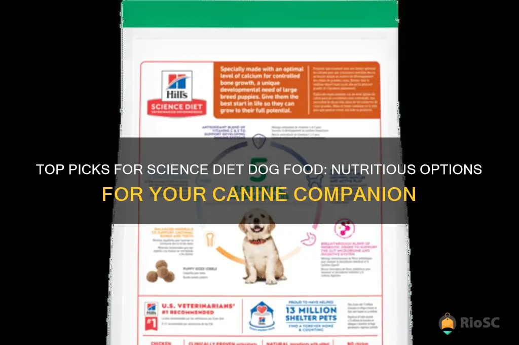 best science diet dog food