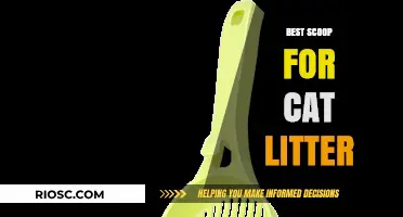 Top Picks: The Best Cat Litter Scoops for a Cleaner, Easier Routine