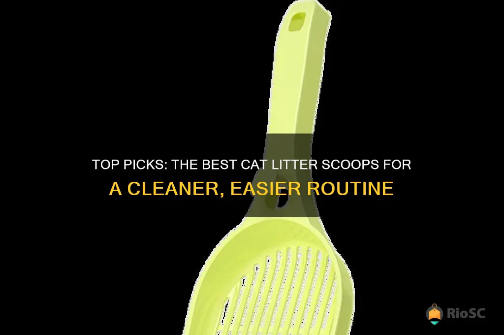 best scoop for cat litter