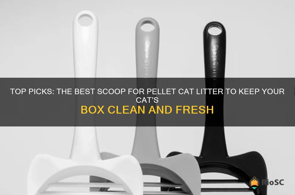 best scoop for pellet cat litter