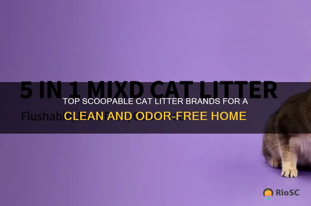 best scoopable cat litter brand
