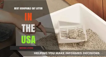 Top-Rated Scoopable Cat Litter Options in the USA: A Comprehensive Guide