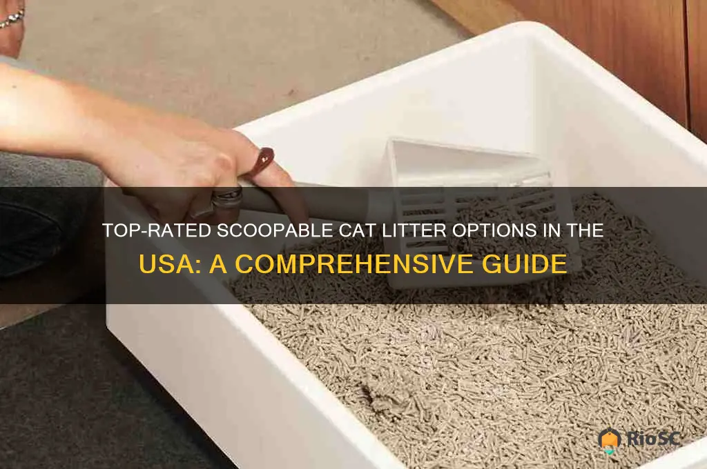 best scoopable cat litter in the usa