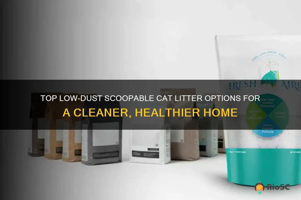 best scoopable cat litter low dust