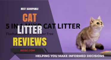 Top-Rated Scoopable Cat Litter: Expert Reviews for a Cleaner, Fresher Home