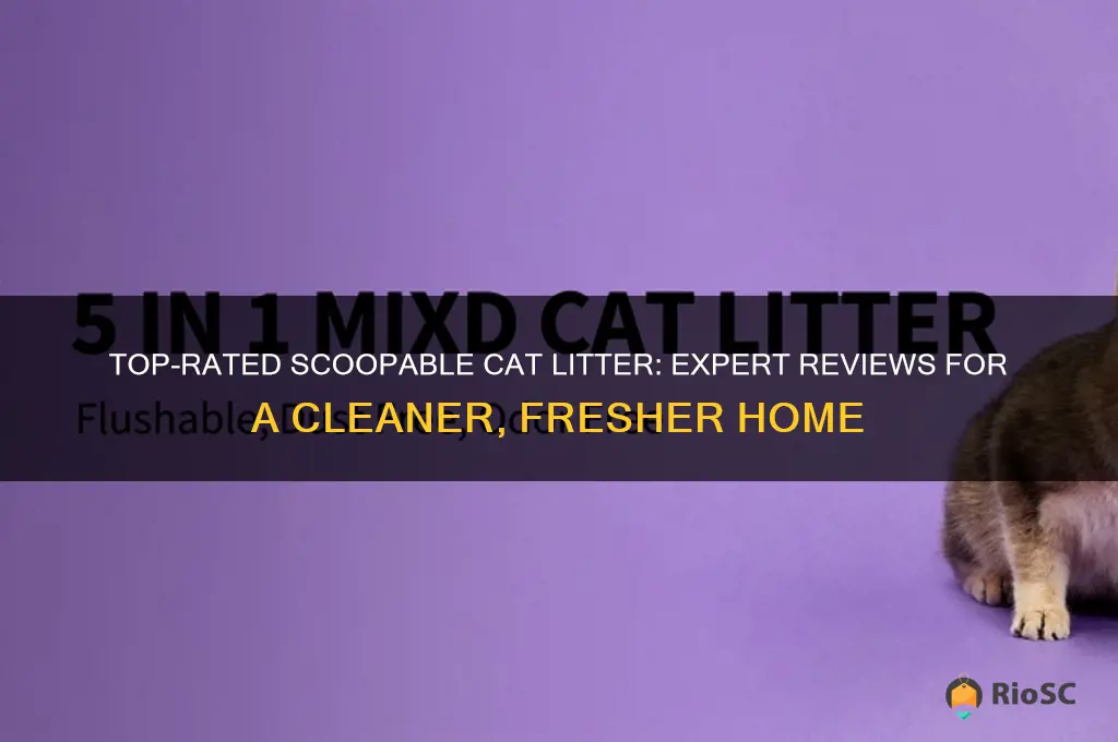 best scoopable cat litter reviews