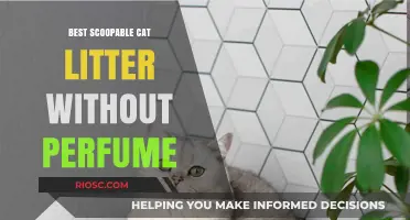 Top-Rated Unscented Scoopable Cat Litter: Odor Control Without the Perfume