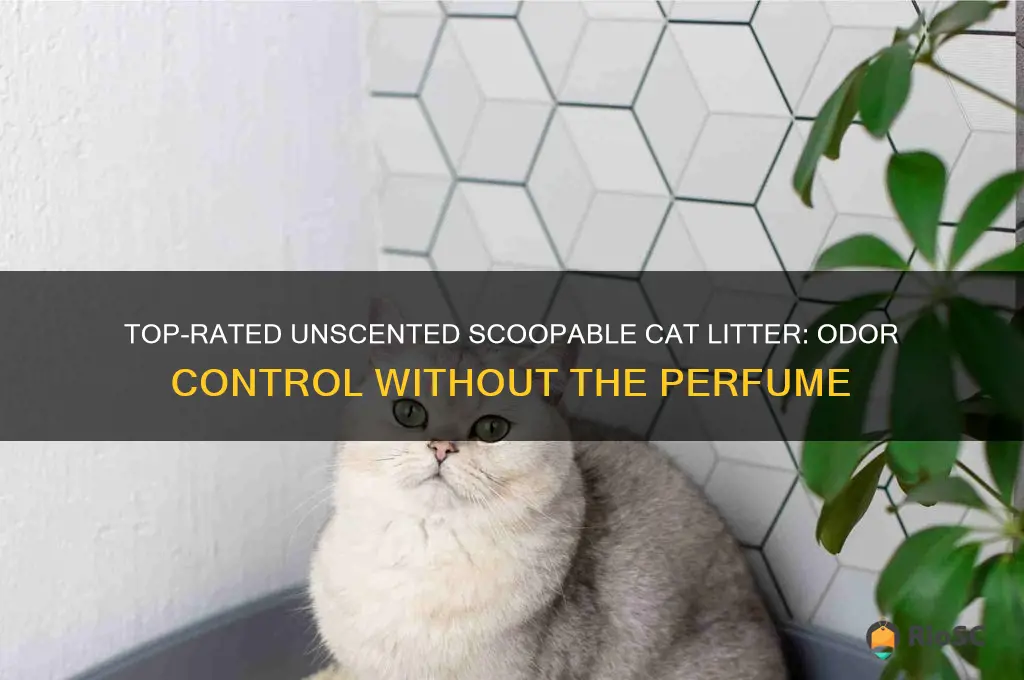 best scoopable cat litter without perfume