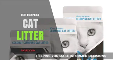 Top Scoopable Cat Litter Options for Easy Cleaning and Odor Control