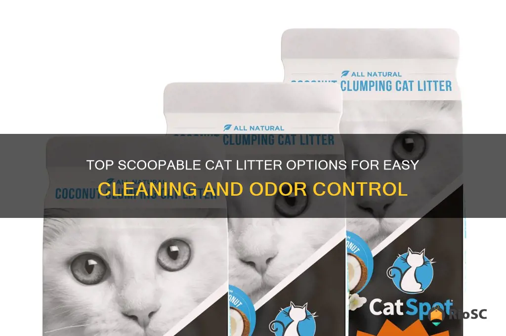 best scoopable cat litter