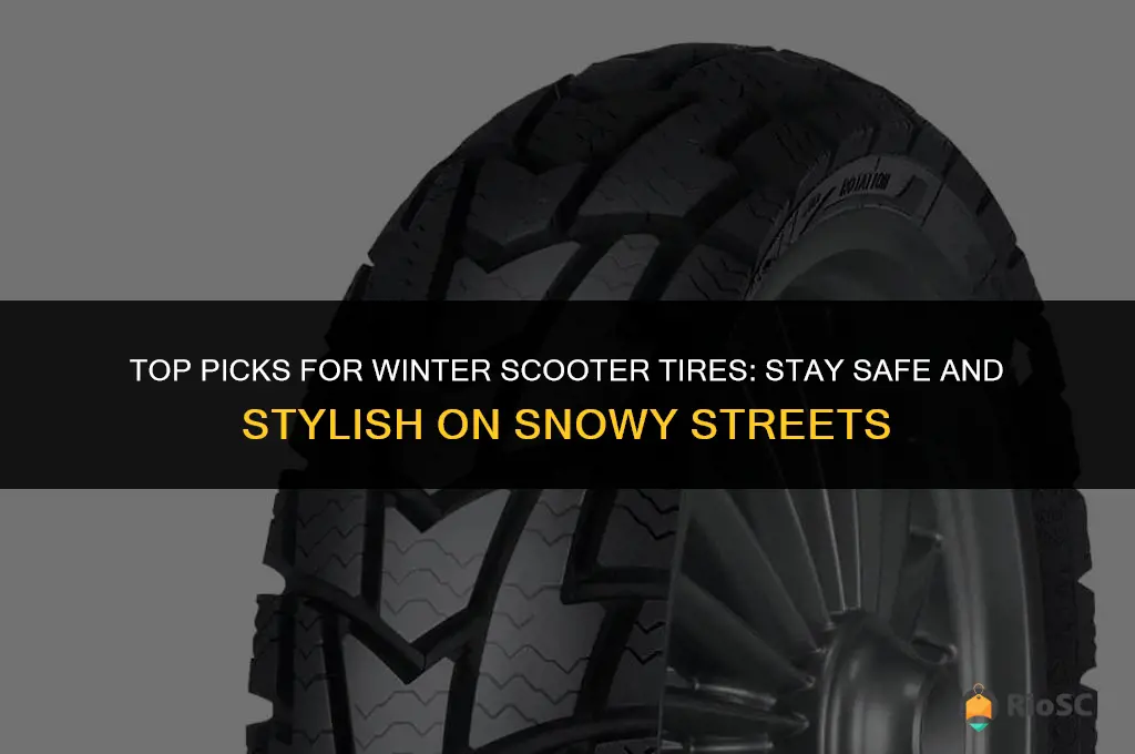 best scooter winter tires