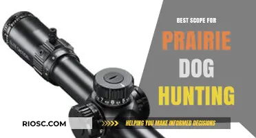 Top-Rated Scopes for Prairie Dog Hunting: Precision and Performance for Long-Range Shots