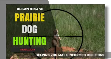 Precision at Range: Choosing the Ideal Scope Reticle for Prairie Dog Hunting