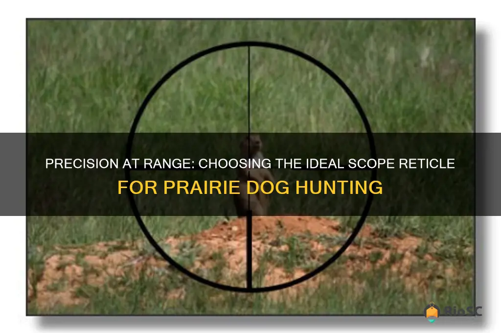 best scope reticle for prairie dog hunting