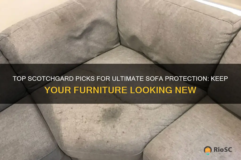 best scotchgard for sofa