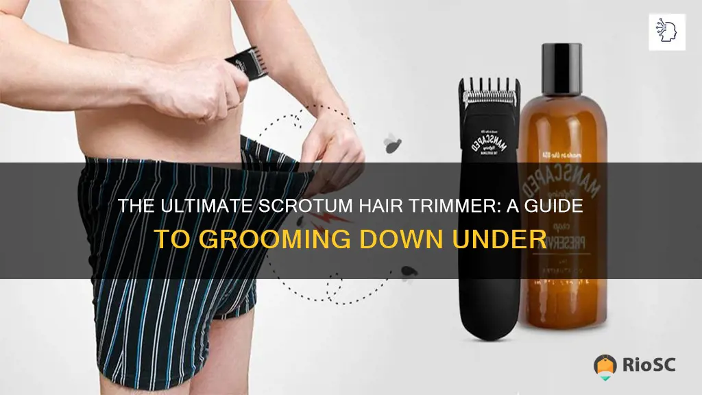 best scrotum hair trimmer