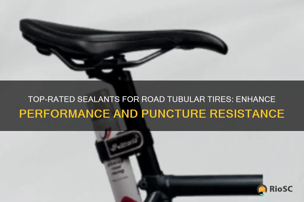 best sealant for road tubular tires