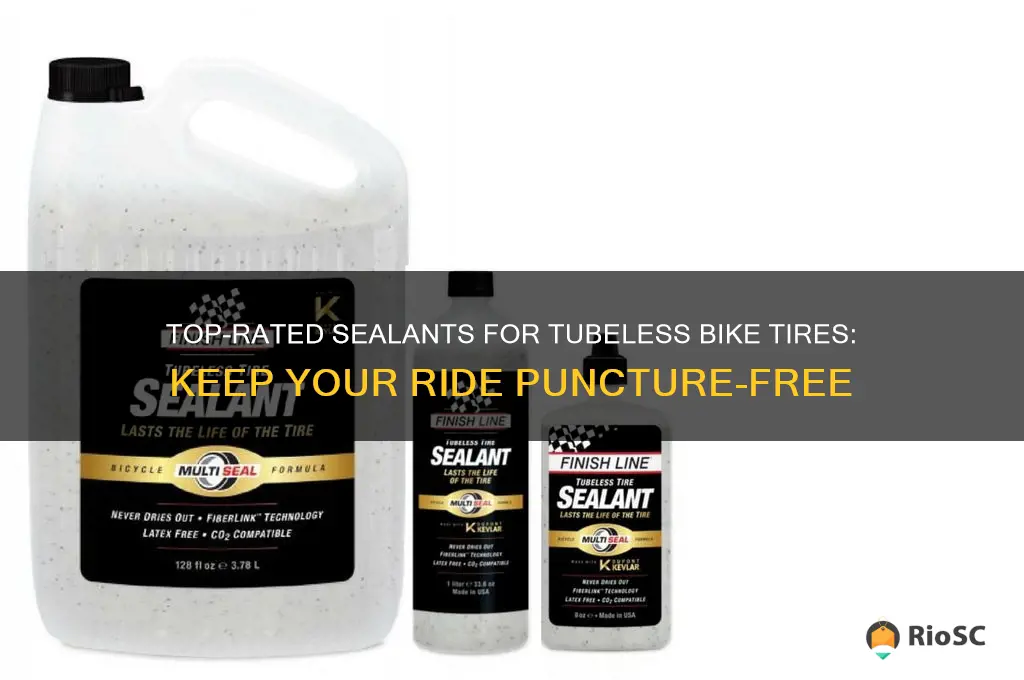 best sealant for tubeless bike tires