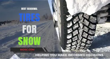 Top Picks for Winter Wheels: Best Seasonal Tires for Snow