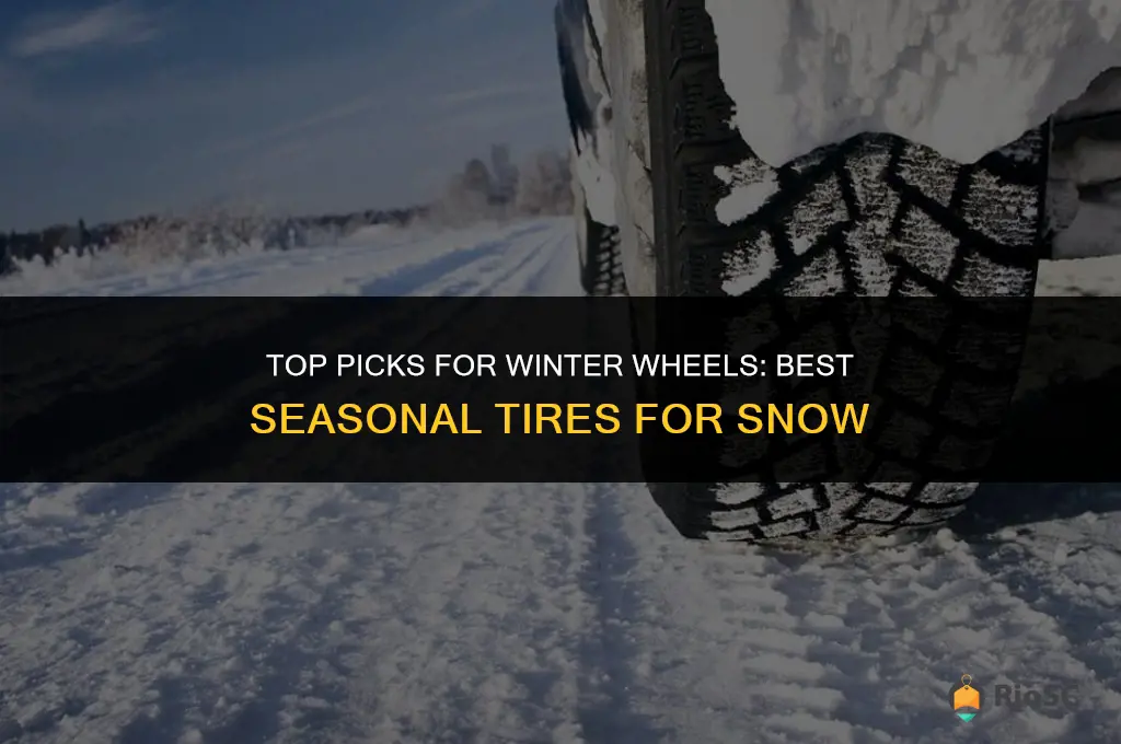 best seasonal tires for snow