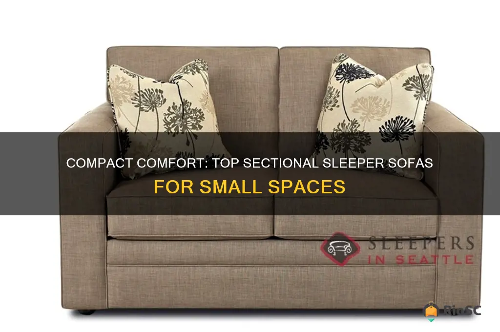 best sectional sleeper sofa for small space