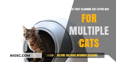 Top Self-Cleaning Cat Litter Boxes for Multi-Cat Households: Keep Your Home Fresh and Clean