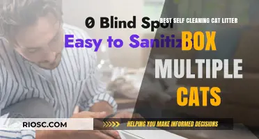 Revolutionize Your Multi-Cat Home: Top Self-Cleaning Litter Boxes for Effortless Maintenance
