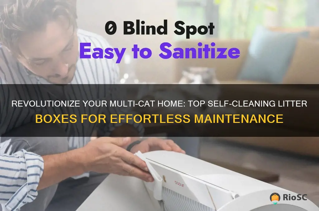 best self cleaning cat litter box multiple cats