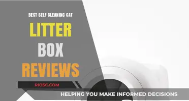 Top Self-Cleaning Cat Litter Boxes: Expert Reviews for Effortless Maintenance
